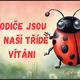 Informace pro rodiče- třída berušek 4