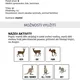 ENG - ANIMAL FAMILIES (pexeso, trojpexeso - zvířecí rodiny) 2