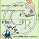 VYJMENOVANÁ SLOVA - DVOJICE PO B, Z 5