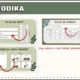 Digitální kalendář - ranní rituál 3