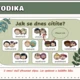 Digitální kalendář - ranní rituál 5