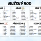 Vzory podstatných jmen 2