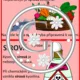 VYJMENOVANÁ SLOVA - DVOJICE PO S 5