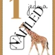 Safari čísla 1-10 2