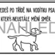 BRAIN BREAKS: Barevná i černobílá verze 5