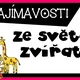 Ze světa zvířat - plakáty se zajímavostmi 2