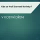 AZ kvíz KOSTERNÍ SOUSTAVA 4