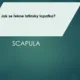 AZ kvíz KOSTERNÍ SOUSTAVA 3
