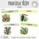 BALÍČEK: Výzdoba třídy, třídní samospráva - Džungle 9