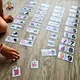 Stínové puzzle - Zvířata v ZOO 2