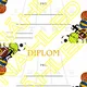 Sportovní den - DIPLOMY, MEDAILE a kartičky na výsledky 2