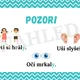 Shoda přísudku s podmětem - přehledy 3