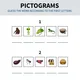 ENG - PICTOGRAMS (piktogramy na 5 písmen) 3