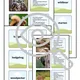 Forest animals TRIPEXESO Who am I? Hádej, co jsem za zvíře? 2