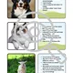 Pets Tripexeso Who am I? Hádej, co jsem za zvíře? 3