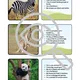 Animals in the ZOO TRIPEXESO Who am I? Hádej, co jsem za zvíře? 4