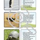 Tiere im ZOO Tripexeso Wer bin ich? Hádej, co jsem za zvíře? 3