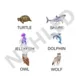 Skládání slov - animals 2