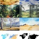 EXOTIC ANIMALS from the ZOO - English flash cards 3