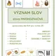 SLOVA MNOHOZNAČNÁ 5 AKTIVIT 3