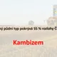 Riskuj - Pedosféra, biosféra, biomy 3