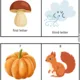 Scavenger Hunt - Autumn 2