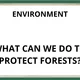 ENVIRONMENT CONVERSATION CARDS 3
