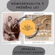Plán vyučovací hodiny - Homosexualita v průběhu let 2