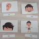 Vocabulary - BODY- sada 6