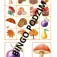 PODZIM V PŘÍRODĚ I VE ŠKOLCE (Bingo pro 5 hráčů) 3