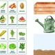 VEGETABLES - English flash cards 3