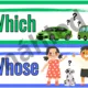 Wh- question words 2
