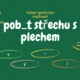 Kvíz - vyjmenovaná slova po B 2
