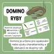 Domino ryby 2