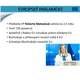 Evropská unie 2