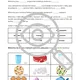 Bílkoviny Pracovní listy CHEMIE Organika 2