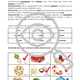 Cukry Sacharidy CHEMIE Organika Pracovní listy 2