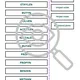 UHLOVODÍKY Přiřaď do správné skupiny Pracovní list Organika 5