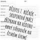 Skupinová práce - české země v raném středověku 2