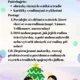 RODINA 4