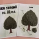 STROMY - SADA AKTIVIT 5