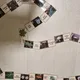 DOMINO - Rostliny a houby v lese - 4. ročník PŘÍRODOVĚDA 2