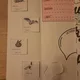 U lidských obydlí - ALTER 5