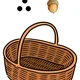 Lesní plody na podzim  5