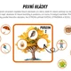 PRVNÍ HLÁSKY pro MŠ 2