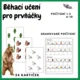 Běhací učení - počítání do 10 - les, gradované úlohy 2