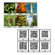 Matematická hledačka s QR kódy - STROMY 2
