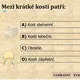 Az - kvíz - biologie člověka 5