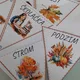 Vlajky - podzim 2