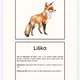 Sada didaktických karet "Listopad" 4